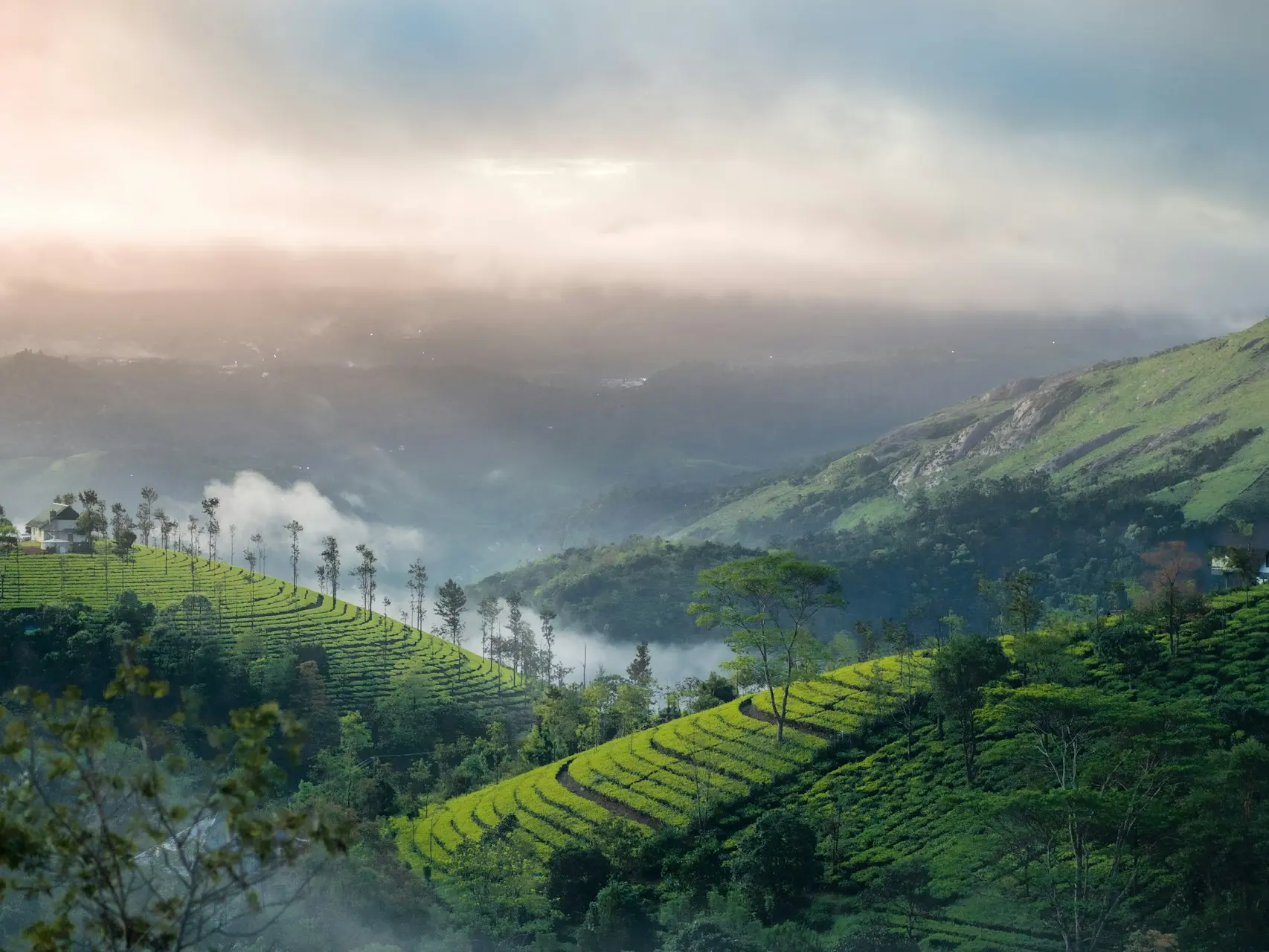 a landscape with hills and trees